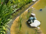 DSCF2497.JPG