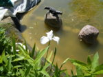 DSCF2505.JPG