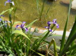 DSCF2496.JPG
