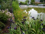 DSCF2694.JPG