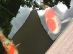 image.jpeg image.jpeg