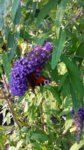 20160721_193241.jpg