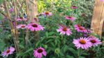 20160721_192618.jpg