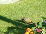 DSCN3522.JPG