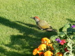 DSCN3523.JPG