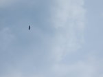 DSCN3515.JPG
