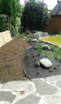 20160723_153748.jpg