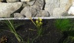 20160723_154310.jpg
