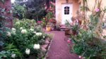 20160727_205204.jpg 20160727_205204.jpg