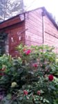 20160721_192306.jpg 20160721_192306.jpg