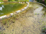 DSCF5938.JPG