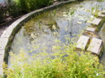 DSCF5931.JPG