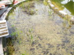 DSCF5936.JPG