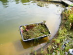 DSCF5948.JPG