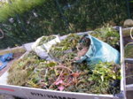 DSCF5956.JPG
