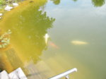 DSCF5985.JPG