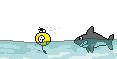 smilie_water_053.gif smilie_water_053.gif