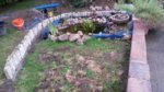 20160802_173831.jpg