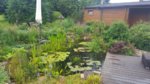 20160803_094715.jpg