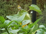 DSCN3583.JPG