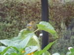 DSCN3579.JPG