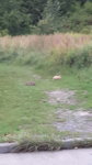 20160803_202834.jpg 20160803_202834.jpg