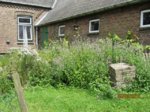 Garten IMG_5992.JPG