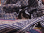 Wynni IMG_6084.JPG