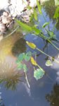 20160807_112214.jpg