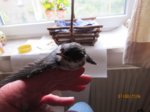 Wynni IMG_6103.JPG