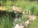 IMG_1677.JPG IMG_1677.JPG