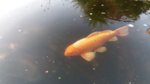 20160629_210343.jpg