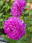 20160801_170401.jpg