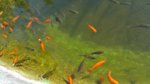 20160817_163811.jpg 20160817_163811.jpg