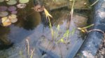 20160817_203731.jpg 20160817_203731.jpg