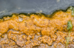 teich 2.jpg teich 2.jpg