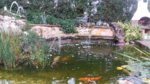 20160820_185338.jpg 20160820_185338.jpg