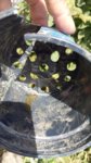 20160820_133554.jpg 20160820_133554.jpg