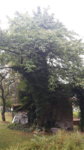 20160821_095446.jpg 20160821_095446.jpg