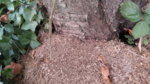 20160821_095526.jpg 20160821_095526.jpg
