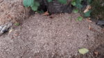 20160821_095539.jpg 20160821_095539.jpg