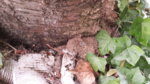 20160821_095605.jpg 20160821_095605.jpg