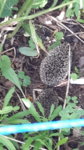 20160824_142809.jpg