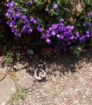 IMG_20160508_143009.jpg