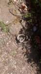 IMG_20160508_143016.jpg