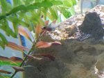 IMG-20160831-WA0001.jpg IMG-20160831-WA0001.jpg