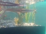 IMG_20160831_175744.jpg