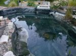 IMG-20160831-WA0005.jpg