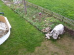 20160408_190704.jpg 20160408_190704.jpg