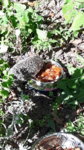 20160831_141955.jpg
